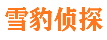 内蒙古市婚姻调查